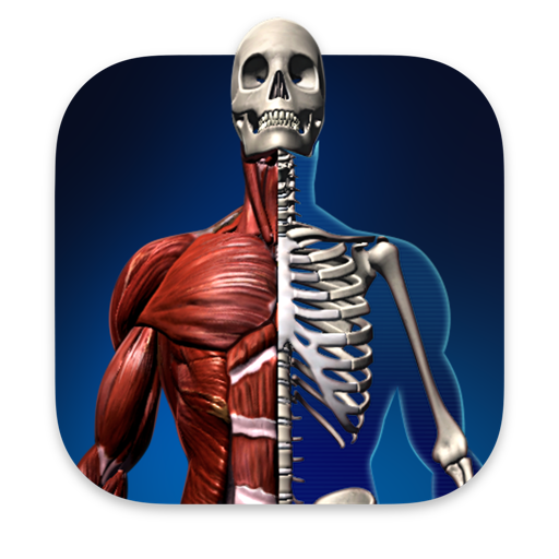 3D人体解剖图谱：三维立体身体结构可视化